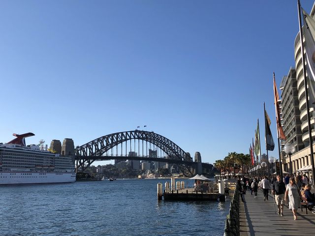 🌉悉尼海港大橋：最高鋼鐵拱橋，享譽國際🌉