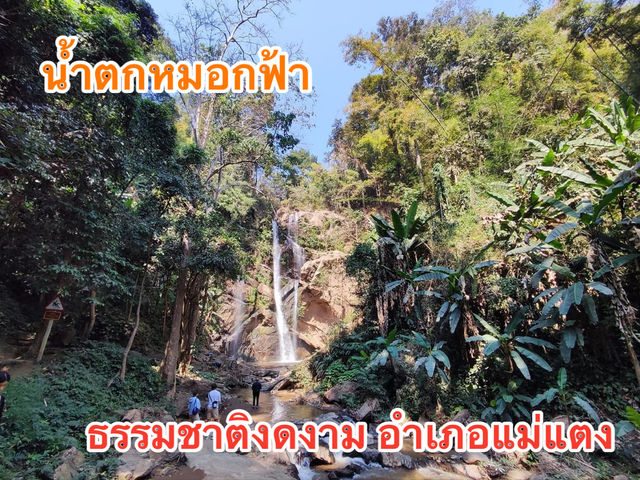 สายม่านหมอกน้ำตก @น้ำตกหมอกฟ้า 🌴🌴