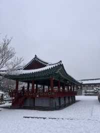 눈에 뒤덮인 한옥 마을이 서울에 있다고!?❄️
