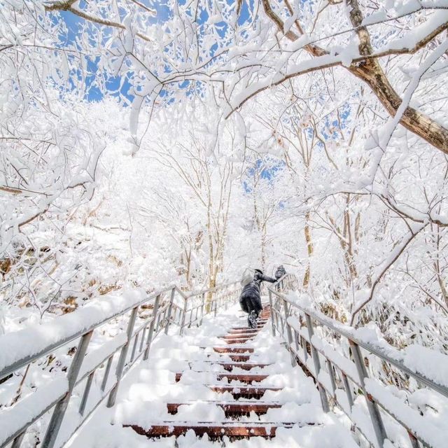 The beauty of Daedunsan covers by Snow 