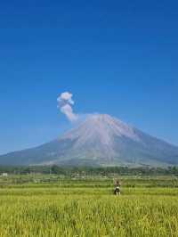 The Majesty of Mount Semeru Volcano