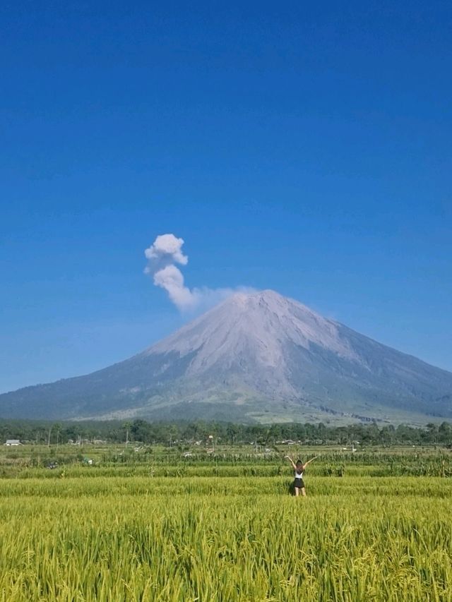 The Majesty of Mount Semeru Volcano