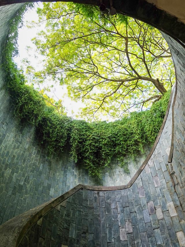 ฟอร์ทแคนนิง Fort Canning Park Singapore