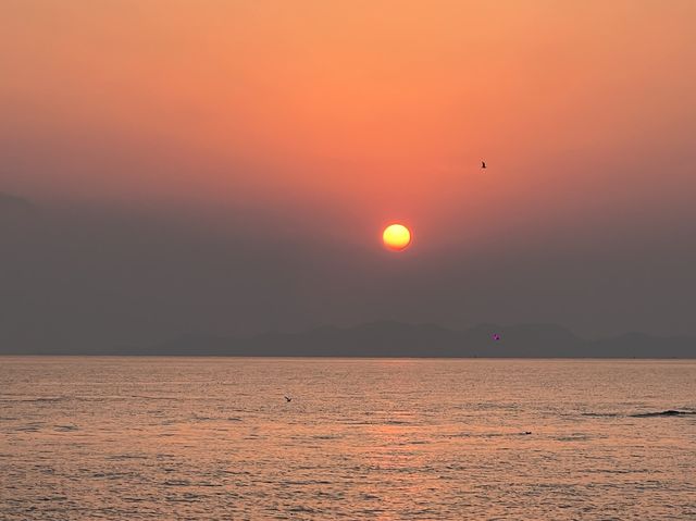 Winter Glow: Sunset Views in Xiaomaidao 🧡