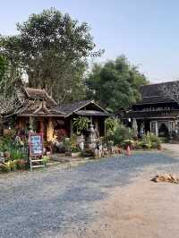 Authentic northern Thai food with a view!