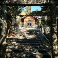 「神明社」細井平洲先生旧里碑