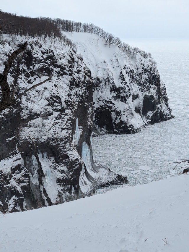 Shiretoko National Park in winter