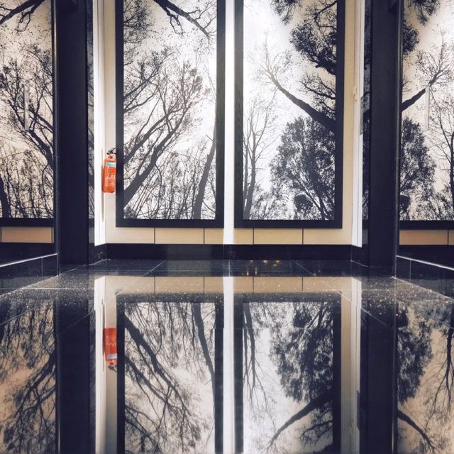 新加坡烏節希爾頓酒店：舒適，獨特