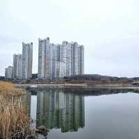 경기도에서 가장 큰 호수공원 <광교호수공원>❤️