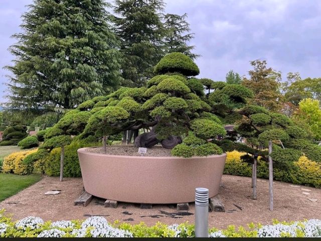 Hamamatsu Flower Park