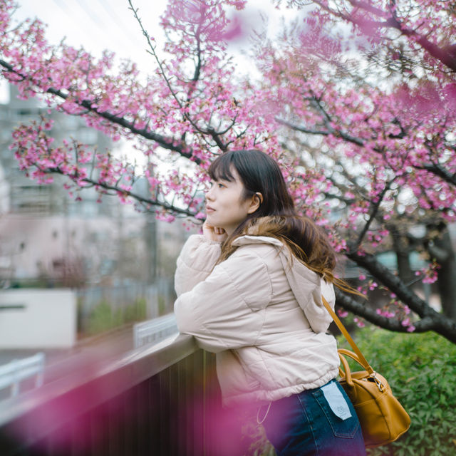 【東京】スカイツリー×桜🌸が撮れる穴場スポット📷´-