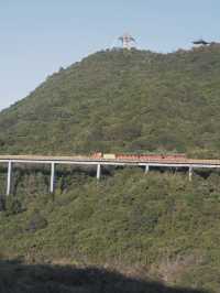 東部華僑城森林小火車，高空欣賞小瑞士