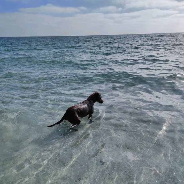 Fremantle South Beach