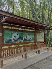 🐼 เยือนถิ่นแพนด้ายักษ์ 🐼 ‘เฉิงตู’ 🇨🇳