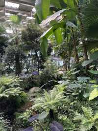 커다란 온실 정원에서 자연을 바라보며 🌴 실내 산책 데이트를 할 수 있는 양주 오랑주리 🌺