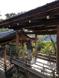 仁和寺の庭や池を眺めるていると、神社とは、また違う…寺院独特の荘厳な美しさを感じる