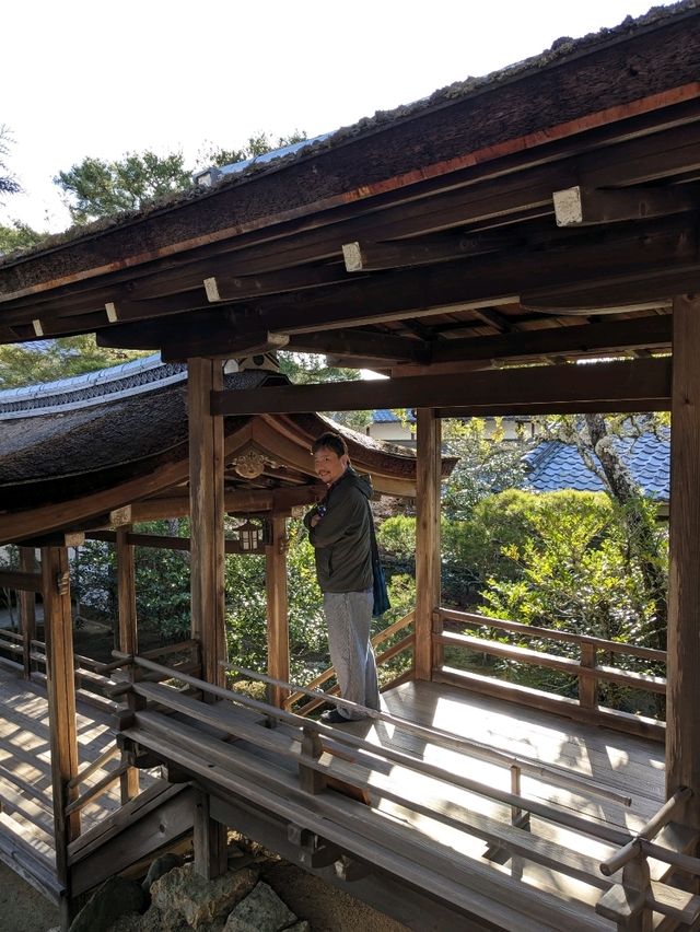 仁和寺の庭や池を眺めるていると、神社とは、また違う…寺院独特の荘厳な美しさを感じる