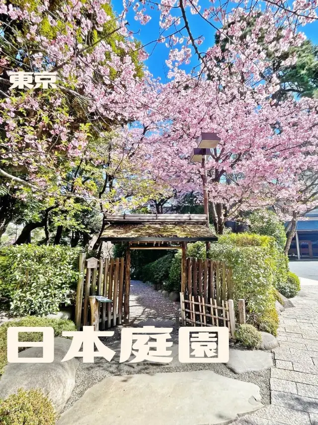 【東京|白金台】無料の日本庭園🌸