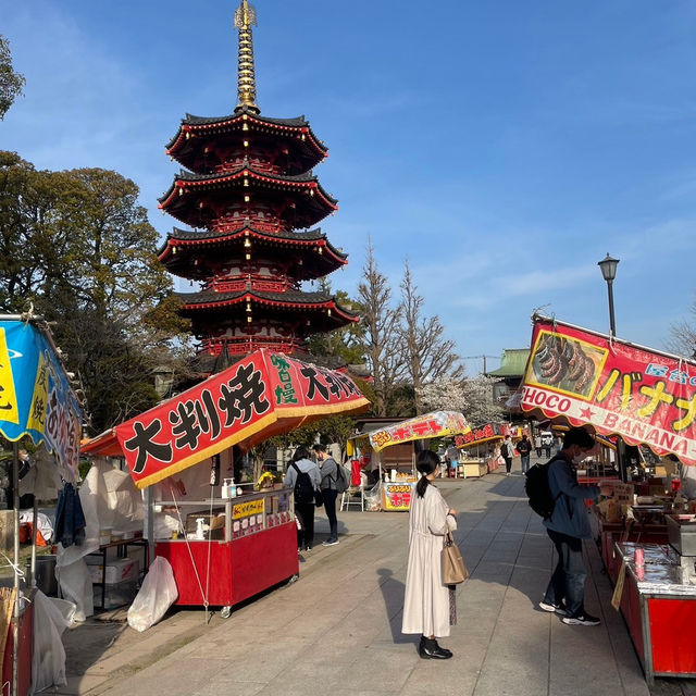 🌸ชมซากุระ ไหว้พระขอพร ที่วัด Kawasaki Daishi 