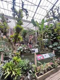 ［新竹/北埔］綠世界生態農場🦩｜超多動物可以近距離觀察 連植物都很多樣