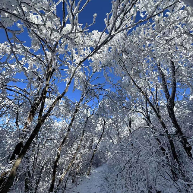 長白山