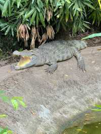 Saigon Zoo and Botanical Garden