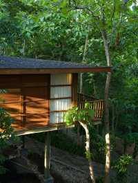 峇里 | 森林樹屋設計 同時享有180度海景🥰