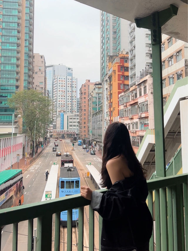 🇭🇰 낭만 넘치는 홍콩 포토존 모음zip 📸 