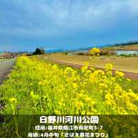 日野川河川公園