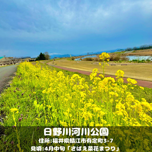 日野川河川公園