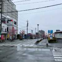 熊本縣早櫻：肥後大津站Aeon旁車路