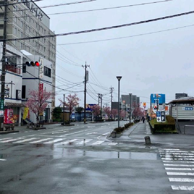 熊本縣早櫻：肥後大津站Aeon旁車路