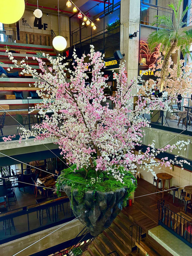 벚꽃이 싱그럽게 활짝 핀 🌸파주 봄데이트 추천 카페테리아 레드파이프