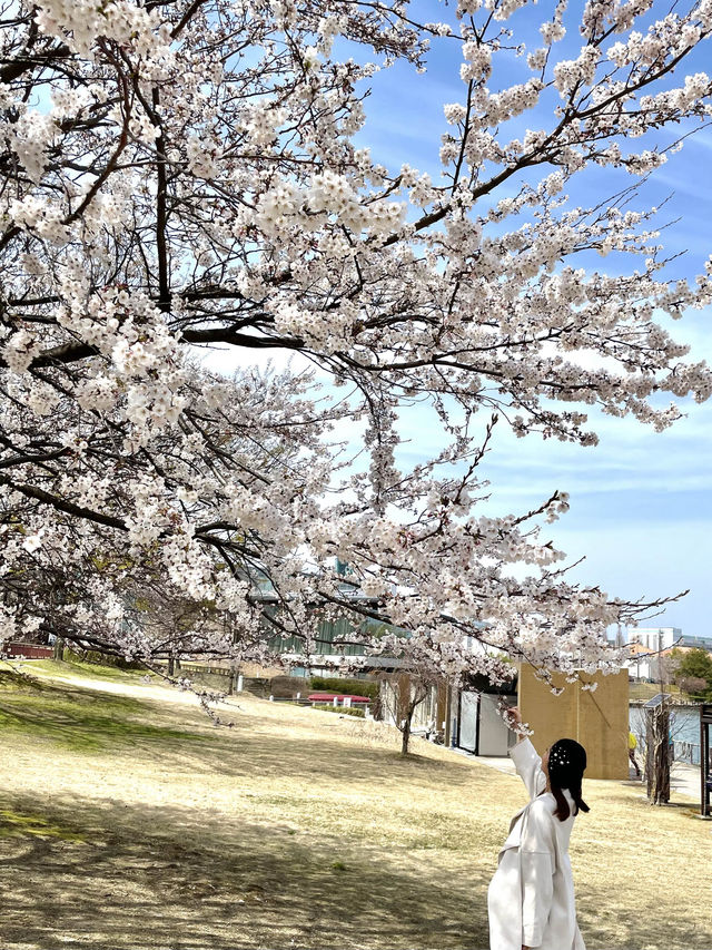 【富山】世界一美しいスターバックス！？もある公園