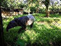 Taiping Zoo & Night Safari