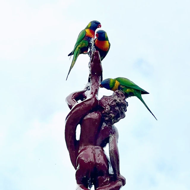 Adelaide Zoo @ Adelaide South Australia 🇦🇺