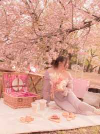 おしゃピクするならレンタルで行こ🧺🌸