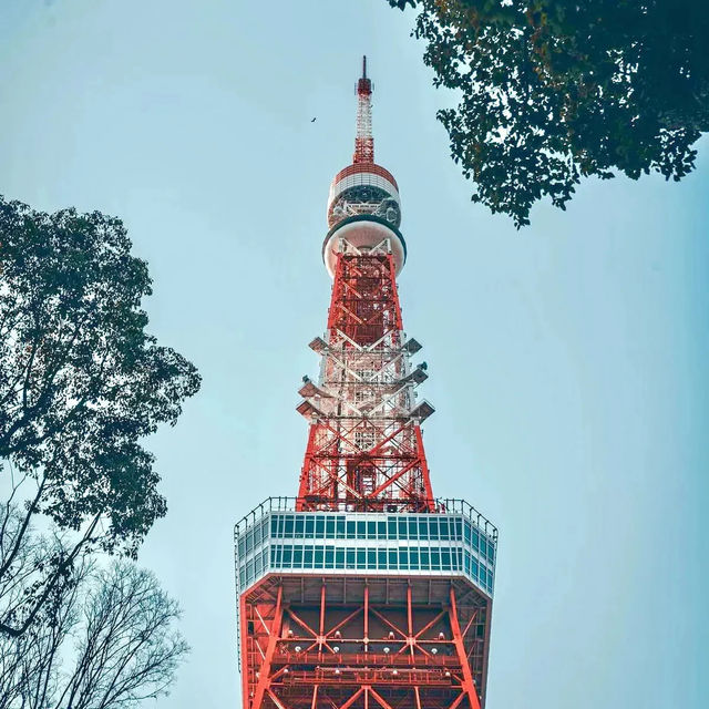 Tokyo Tower: the Ultimate Guide to Iconic Views! 🗼