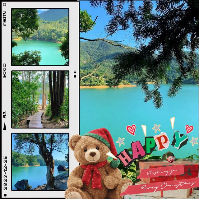 流水響水塘~綠意盎然 流水響水塘~綠意盎然