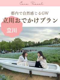 都内で自然感じるおでかけプラン〜ネモフィラ・チューリップ〜【立川】