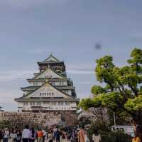 🇯🇵 Osaka castle park | Mesmerizing view of cherry blossom 🌸