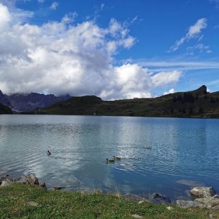 Trubsee