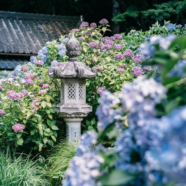 【福岡景點】星之花公園～漫步賞景