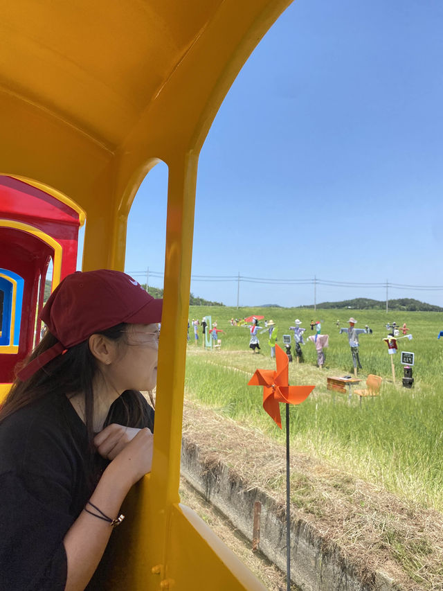 [전남영광] 따뜻한 봄날의 영광 찰보리 데이트💕