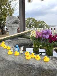 【福岡観光】可愛いあひるがお出迎え♡鎮座1250年を迎える神社⛩