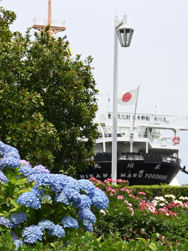薔薇が咲き誇る！ガーデンネックレス横浜2024