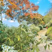 「角板山公園」山林綠洲