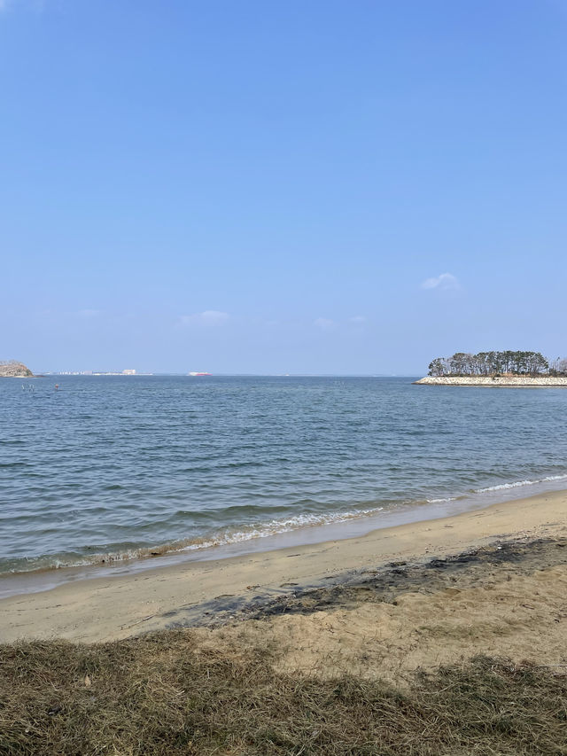 [일본 후쿠오카🇯🇵]나만 아는 힐링 장소:후쿠하마 해변