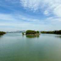 「十里花溪濕地公園：花海夢幻，春色迷人」