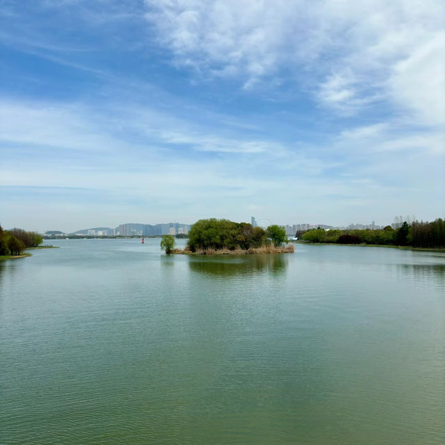 「十里花溪濕地公園：花海夢幻，春色迷人」